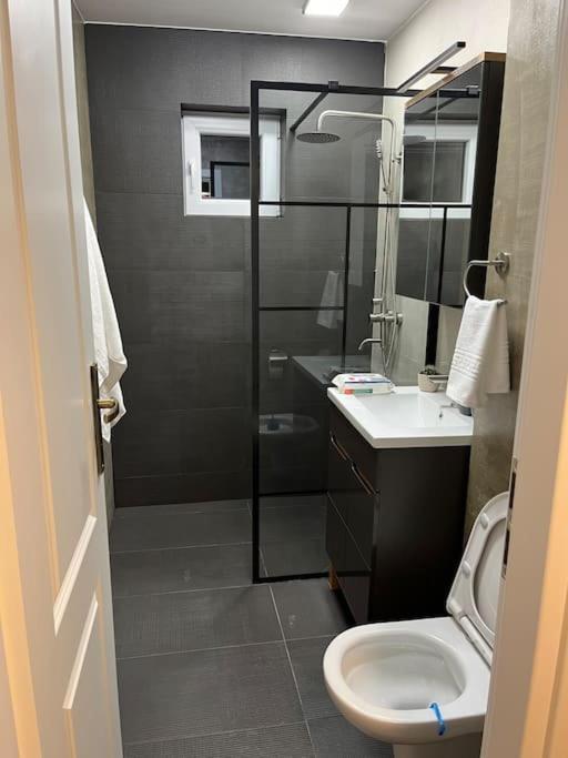 Apartament Suceava Exteriör bild